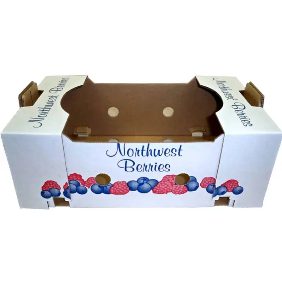 Custom Blueberry Fruits Trays Carton